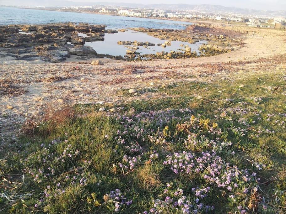 A Stone'S Throw From Everything Paphos ภายนอก รูปภาพ